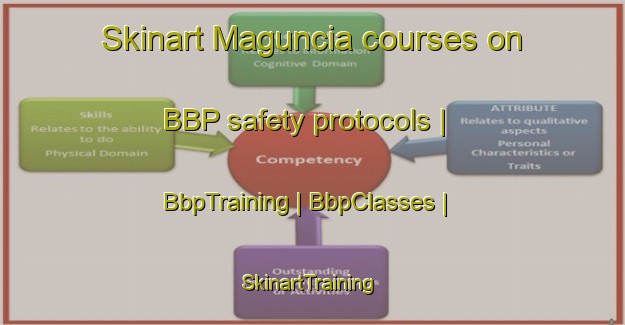 Skinart Maguncia courses on BBP safety protocols | BbpTraining | BbpClasses | SkinartTraining-Bolivia